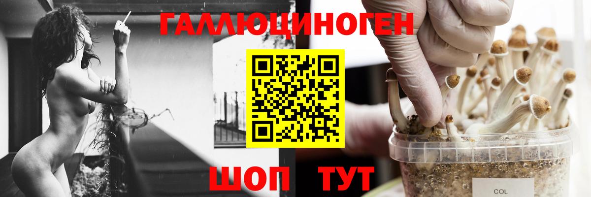 Галлюциногенные грибы ЛСД  Вход с VPN  Назрань 