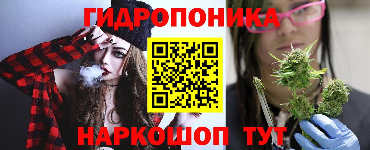 Бошки Шишки индика  Конопля марихуана  Назрань  Вход с VPN  Конопля AK-47  Марихуана THC 21% 